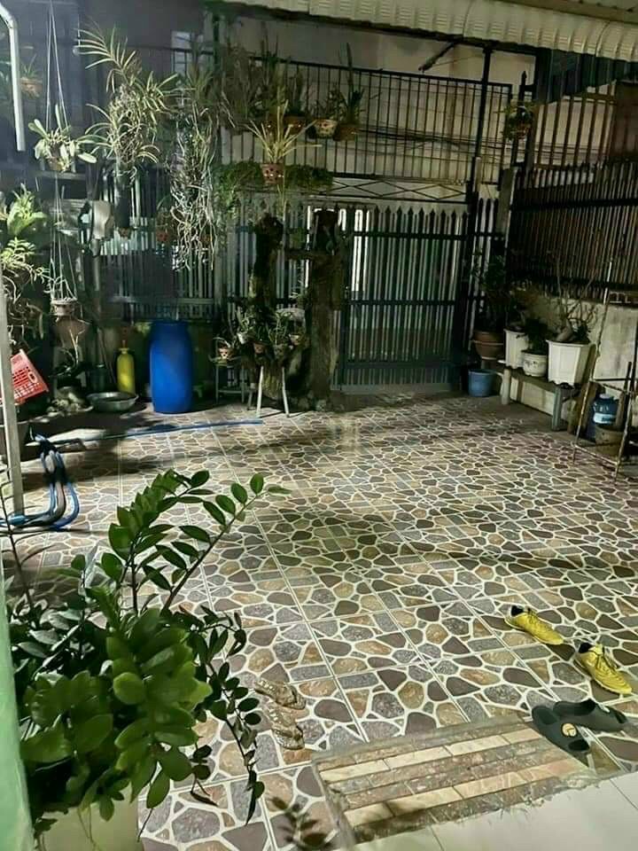 Biên Hòa, Đông Nai