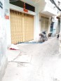 Nhà 3*11m/1 lầu hẻm 667 Hưng Phú Phường 9 Quận 8
