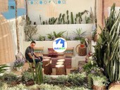  Đà Lạt, Lâm Đồng 