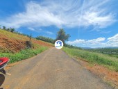  Bảo Lộc, Lâm Đồng 