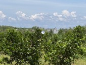 Bán đất Thổ Cư Định Quán Đồng Nai Giá Siêu Rẻ, Gần Cao Tốc   Đà Lạt