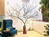 SIÊU PHẨM CỰC ĐẸP NGAY NHÂN HOÀ - CỰC HIẾM CÓ CĂN THỨ 2 Ở KHU VỰC BÁN RA.