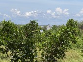  Định Quán, Đồng Nai 