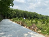  Định Quán, Đồng Nai 