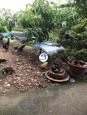 ĐẤT KDC SÁT ĐƯỜNG CHÍNH THẠNH XUÂN 22 - PHƯỜNG THẠNH XUÂN - QUẬN 12 - GÍA TỐT Quận 12, Hồ Chí Minh