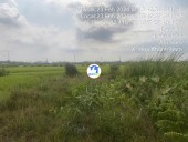  Đức Hòa, Long An 